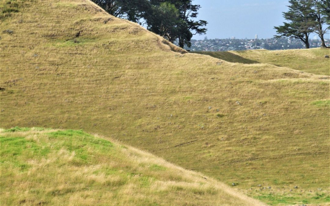 Nga Tapuwai o Mataoho, footprints of Mataoho. Mangere Mountain