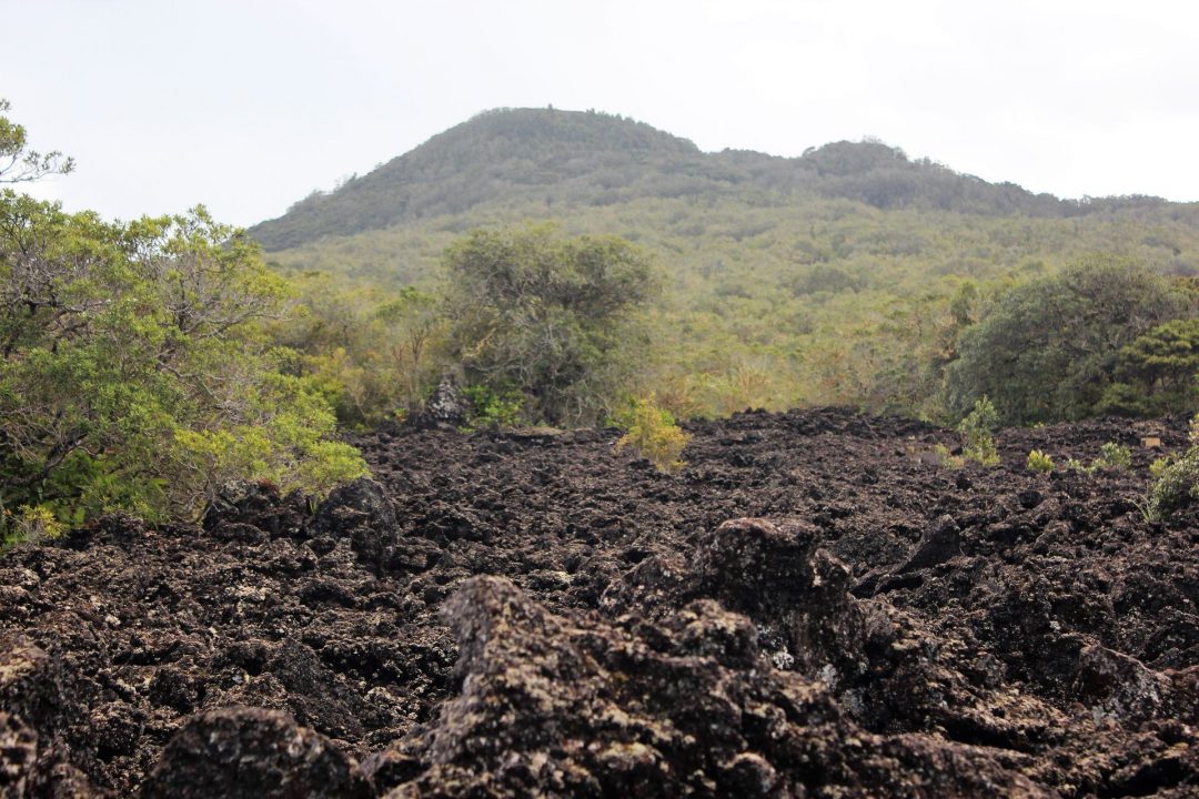 Intra Plate Volcanics, Hot Spots | Science Connected